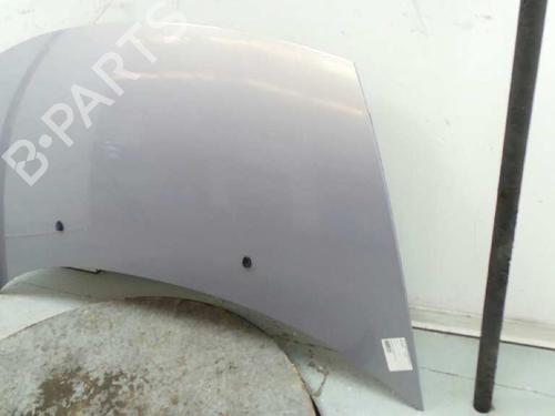 Hood CITROËN C3 I (FC_, FN_) 1.4 HDi | BP1419822C1 