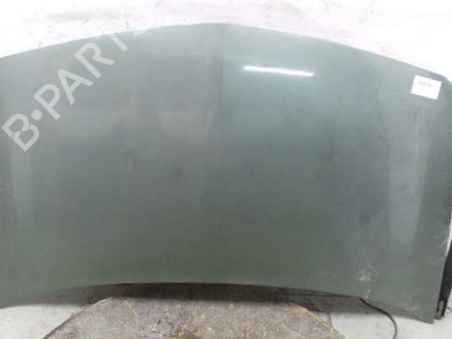 Used Hood RENAULT MEGANE II (BM0/1_, CM0/1_) [2001-2012]  1497352