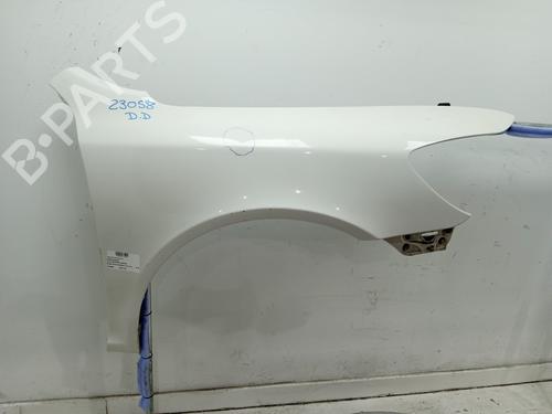 Used Right front fenders SKODA OCTAVIA II (1Z3) 1.9 TDI (105 hp) 20312845