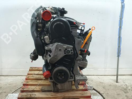 Motore VW GOLF IV (1J1) 1.9 TDI (101 hp) 30463510