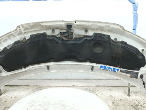 Hood VW TRANSPORTER T5 Bus (7HB, 7HJ, 7EB, 7EJ) 2.5 TDI | BP30123662C1