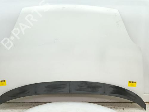 Used Hood FIAT GRANDE PUNTO (199_) 1.3 D Multijet (75 hp) 25295811