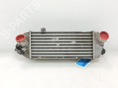 Intercooler Intercooler HYUNDAI i20 I (PB, PBT) 1.4 CRDi (90 hp) 33241595 33241595