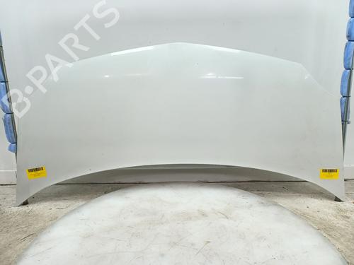 Used Hood RENAULT KANGOO Express (FW0/1_) 1.5 dCi 70 (FW0A, KW0V) (68 hp) 23979340