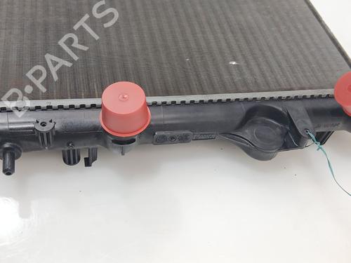Water radiator RENAULT MEGANE I (BA0/1_) 1.9 dCi (BA05, BA1F) | BP28107262M31 