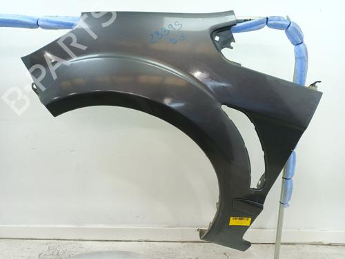 Used Left front fenders FORD S-MAX (WA6) 2.0 TDCi (163 hp) 24698754