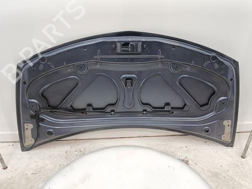 Hood RENAULT CLIO III (BR0/1, CR0/1) 1.2 16V (BR0P, CR0P) | BP24698655C1 
