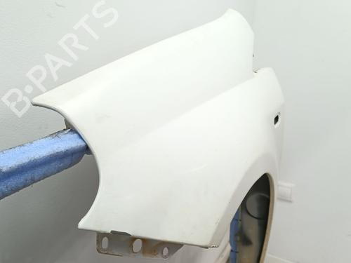 Left front fenders FIAT GRANDE PUNTO (199_) 1.3 D Multijet | BP25295810C41 