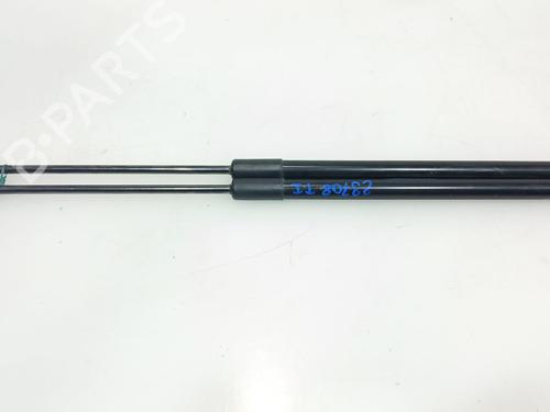 Tailgate lift support AUDI A3 (8P1) 2.0 TDI 16V | BP28806176C138 