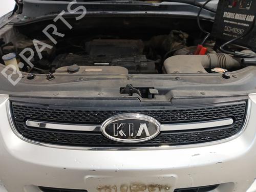 Used Grille KIA SPORTAGE II (JE_, KM_) 2.0 i 16V (141 hp) 24627705