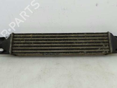 Used Intercooler FIAT GRANDE PUNTO (199_) 1.3 D Multijet (75 hp) 1975516