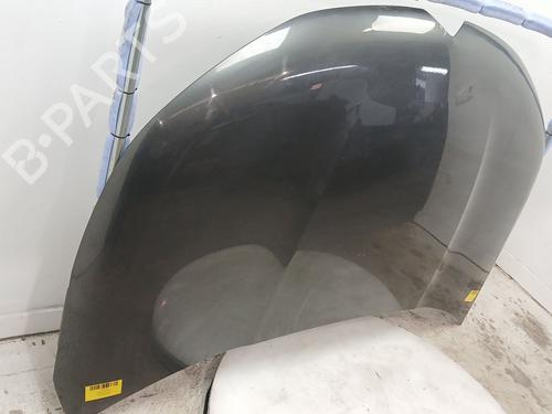 Hood CITROËN C4 II (NC_) 1.6 VTi 120 (NC5FS0, NC5FS9) | BP28093431C1 