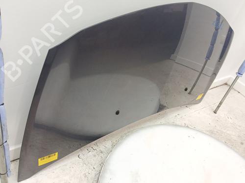Hood RENAULT CLIO III (BR0/1, CR0/1) 1.2 16V (BR0P, CR0P) | BP24698655C1 