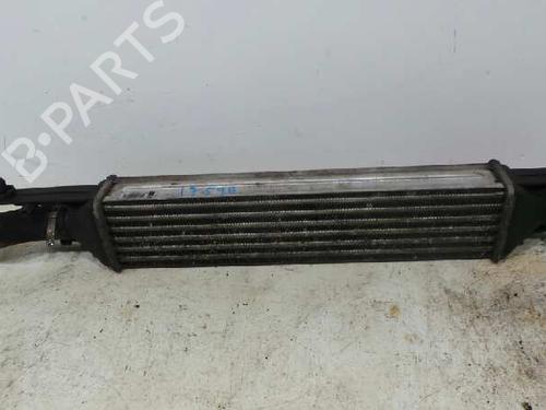 Ladeluftkühler für FIAT PUNTO EVO (199_) 1.3 D Multijet (199AXC1A, 199BXC1A, 199AXT1A, 199BXT1A) (75 hp) 348202