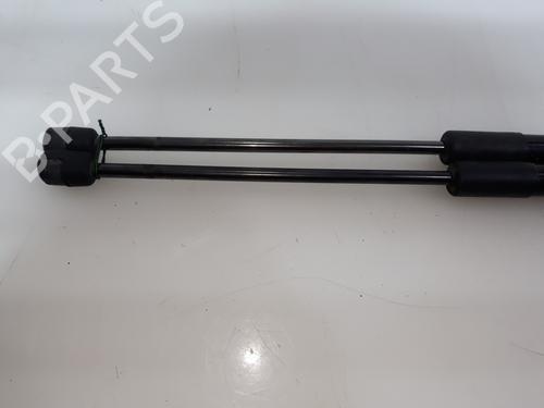 Tailgate lift support RENAULT MEGANE III Grandtour (KZ0/1) 1.5 dCi (KZ09, KZ0D, KZ1G, KZ29, KZ14, KZ1W, KZ10, KZ1F,... | BP15964091C138 