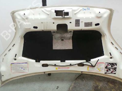 Hood PEUGEOT BIPPER (AA_)  | BP5625868C1 
