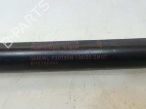 Tailgate lift support LAND ROVER RANGE ROVER SPORT I (L320) 2.7 D 4x4 | BP14143794C138 