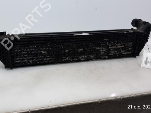 Intercooler RENAULT LAGUNA II (BG0/1_) 1.9 dCi (BG1A, BG1V) (130 hp) 16310138