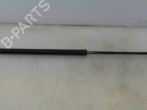 Used Tailgate lift support LAND ROVER RANGE ROVER SPORT I (L320) 2.7 D 4x4 (190 hp) 14143795