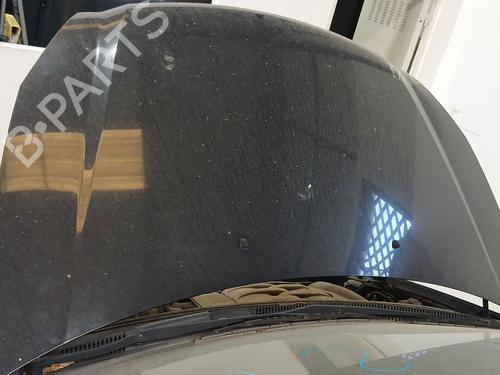 Hood KIA CARNIVAL / GRAND CARNIVAL III (VQ) 2.9 CRDi 664004D010 | 664004D010