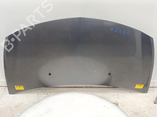 Used Hood RENAULT CLIO III (BR0/1, CR0/1) 1.2 16V (BR0P, CR0P) (101 hp) 24698655