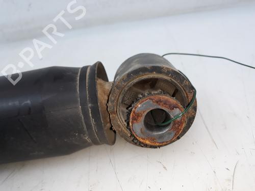 Right rear shock absorber RENAULT SCÉNIC III (JZ0/1_)  | BP15213663M19 