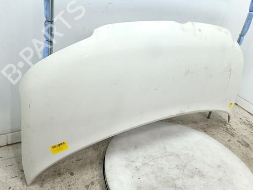 Hood VW TRANSPORTER T5 Bus (7HB, 7HJ, 7EB, 7EJ) 2.5 TDI | BP30123662C1
