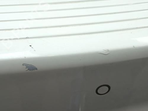 Pára-choques traseiro FIAT FREEMONT (345_) 2.0 JTD 4x4 | BP30772736C8 