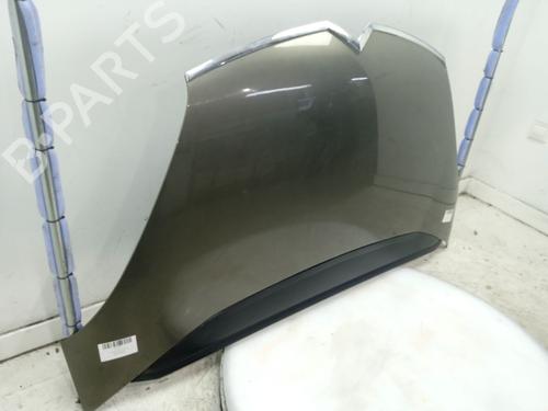 Hood CITROËN C4 Grand Picasso I (UA_) 1.6 HDi 110 | BP22720945C1