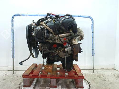 Motor LAND ROVER DISCOVERY III (L319) 2.7 TD 4x4 (190 hp) 31802799