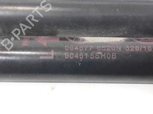 Tailgate lift support NISSAN LEAF (ZE1) Electric | BP19324748C138 