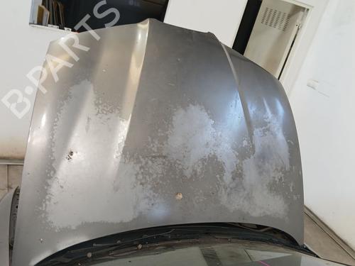 Used Hood Hood 39559913 39559913