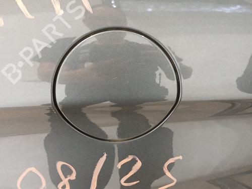 Used Fuel flap CITROËN C4 II (NC_) 1.6 VTi 120 (NC5FS0, NC5FS9) (120 hp) 28424683