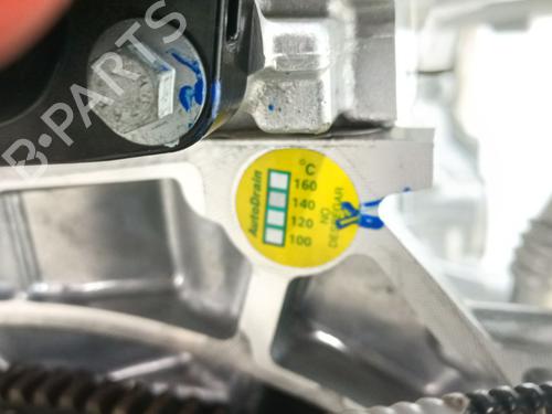 Engine NISSAN MICRA V (K14) 1.0 IG-T | BP30451302M1 