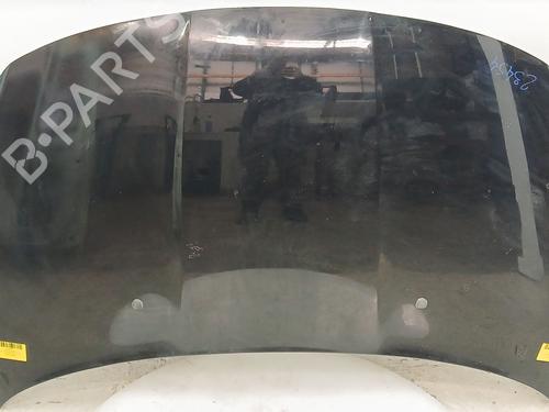 Used Hood FIAT TIPO Saloon (356_, 357_) 1.6 D (356SXG1B) (120 hp) 25820788