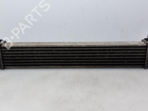Intercooler MERCEDES-BENZ A-CLASS (W169) A 180 CDI (169.007, 169.307) | BP16587878M30 