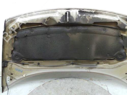 Hood CITROËN C3 I (FC_, FN_) 1.4 HDi | BP1419822C1 