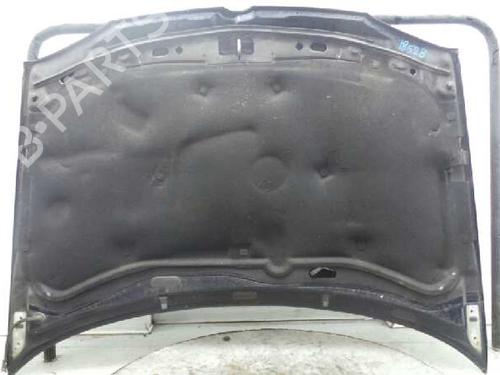 Hood VW GOLF IV (1J1) 1.9 TDI | BP913179C1 