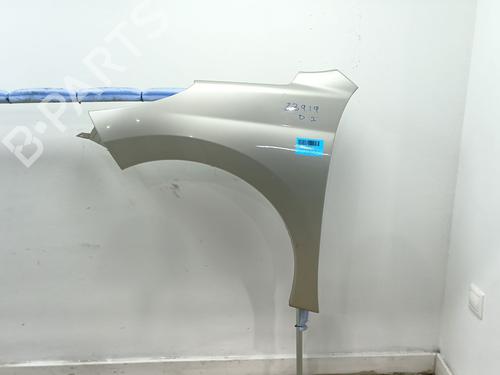 left-front-fenders-peugeot-207-wa_-wc_-2006-2007-2008-2009-2010-2011-2012-2013-2014-2015-31966480 main image