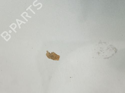 Hood KIA OPTIMA (JF) 1.7 CRDi | BP31751864C1