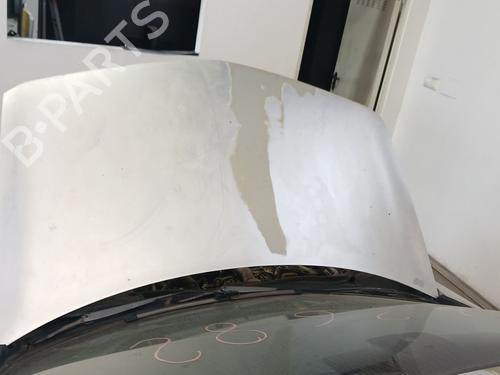 Hood RENAULT MEGANE II (BM0/1_, CM0/1_) 1.5 dCi (BM02, BM13, BM2A, CM02, CM13) 7751476151 | 7751476151
