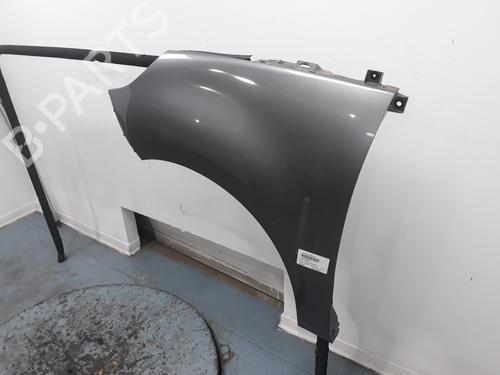 Left front fenders RENAULT SCÉNIC III (JZ0/1_)  | BP15213029C41 