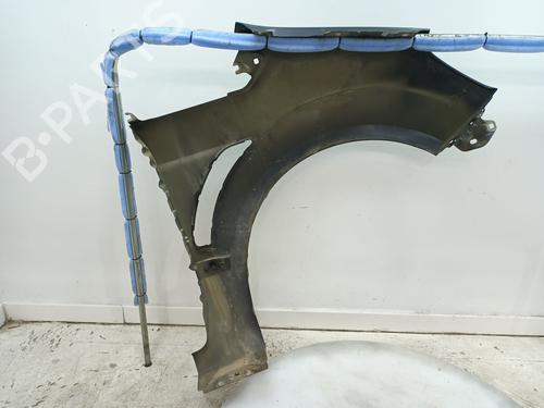 Left front fenders FORD S-MAX (WA6) 2.0 TDCi | BP24698754C41 