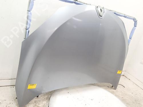 Hood RENAULT MEGANE III Hatchback (BZ0/1_, B3_)  | BP23041681C1 