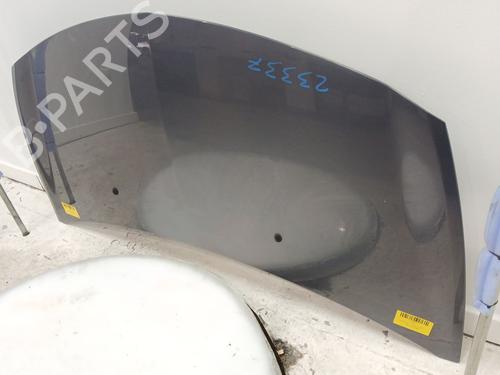 Hood RENAULT CLIO III (BR0/1, CR0/1) 1.2 16V (BR0P, CR0P) | BP24698655C1 
