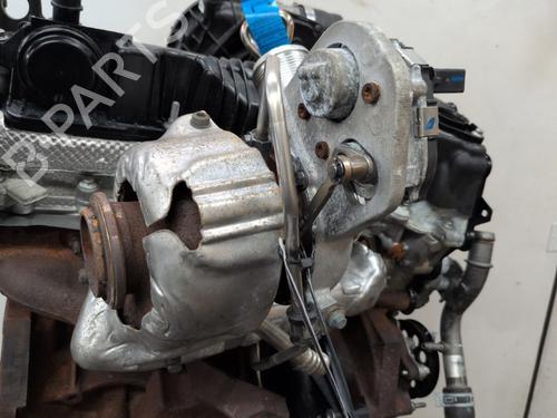 Motor FORD TRANSIT V363 Van (FCD, FDD) 2.0 EcoBlue | BP29609408M1 