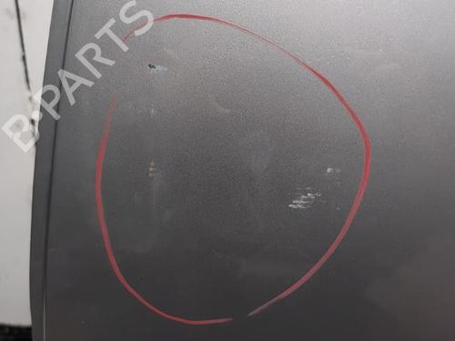 Left rear door RENAULT SCÉNIC III (JZ0/1_) 1.2 TCe | BP30875310C4