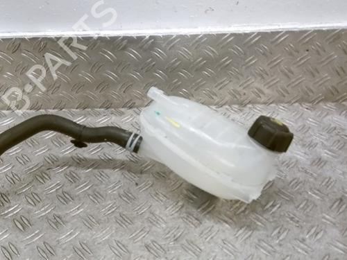 Ekspansjonstank DACIA JOGGER (RK_) 1.6 HYBRID 140 (RKN8) (141 hp) 26046715