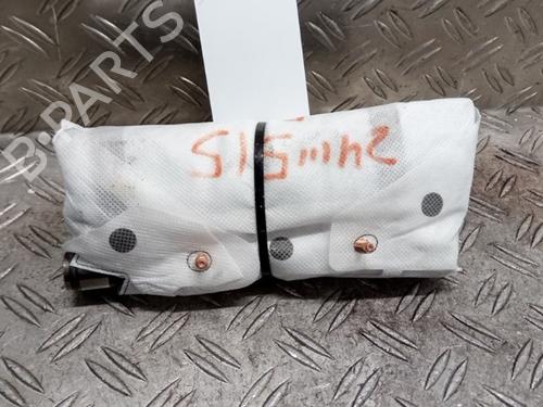 Andre RENAULT AUSTRAL TCe 160 (HGMJ) | BP30811777O1