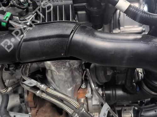 Engine FORD FIESTA VII (HJ, HF) 1.0 EcoBoost | BP29855011M1